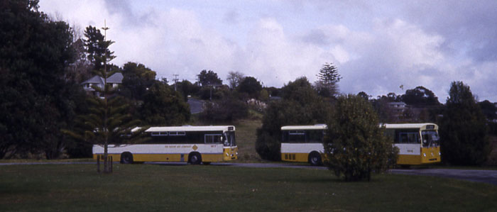 Two Yellow Buses